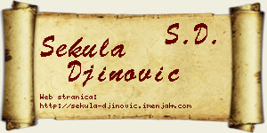 Sekula Đinović vizit kartica